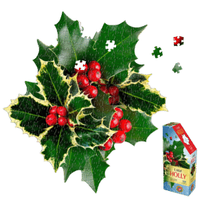 Madd Capp Floral Holly Jigsaw Puzzle - 350 pc