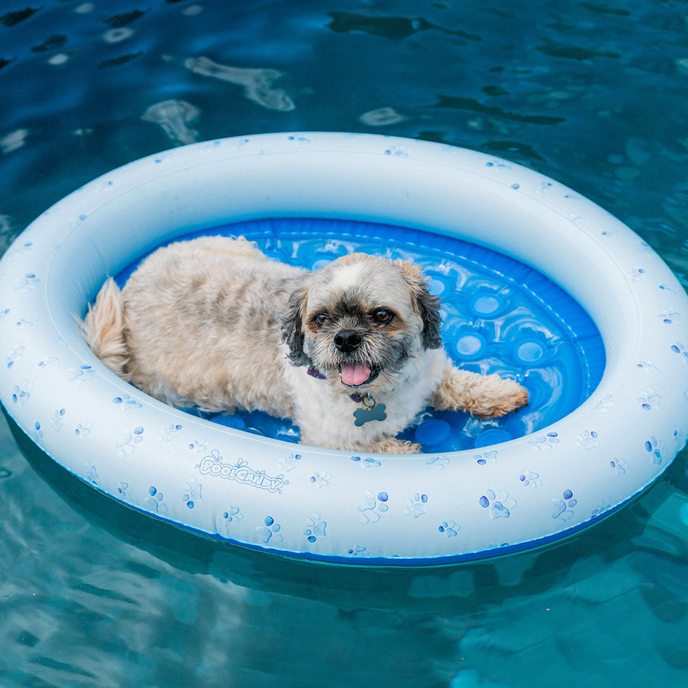 Paws Aboard! Small Dog Inflatable Pool Float - Image 3