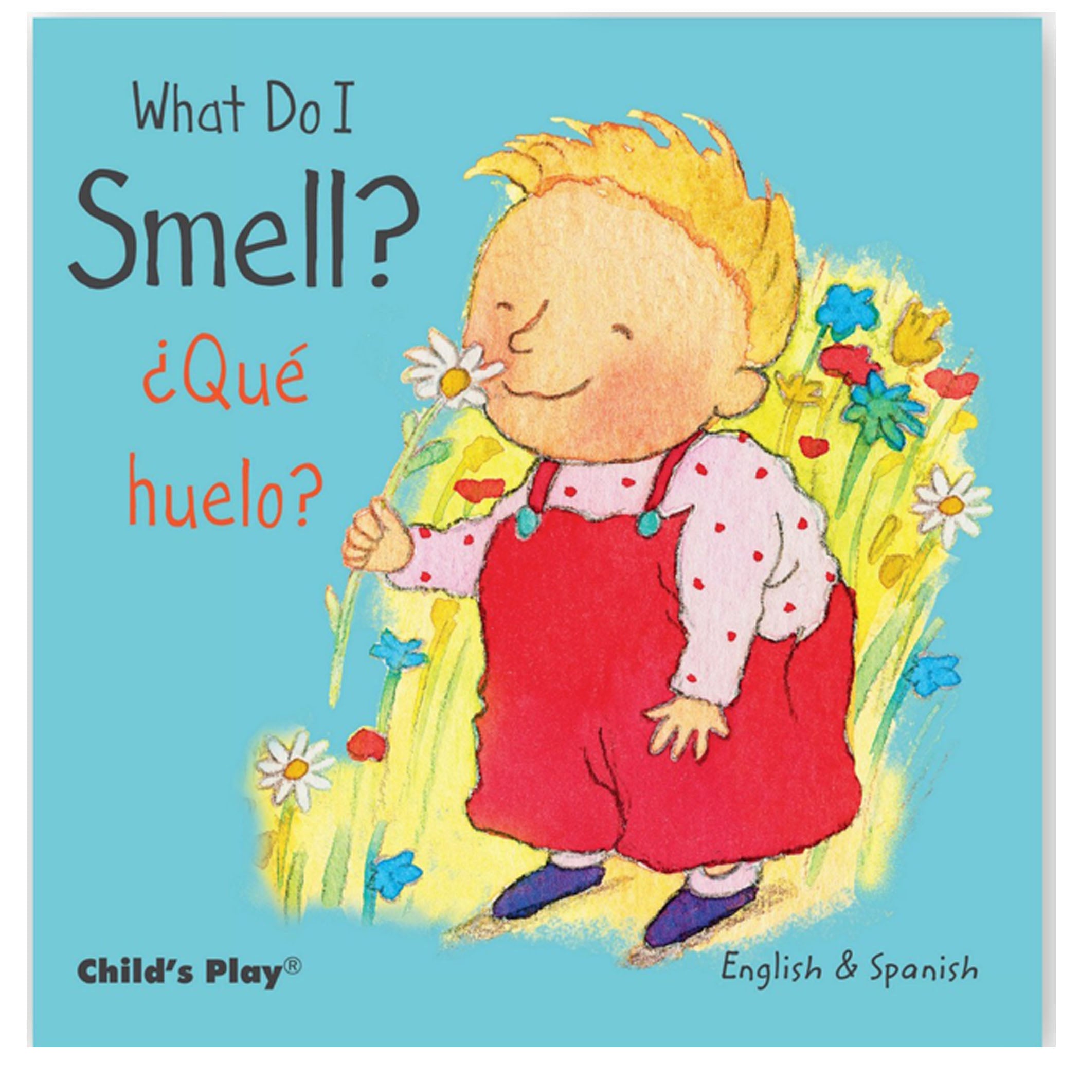 Child's Play Books Small Senses 5-Piece Bilingual Board Book Set - Image 4