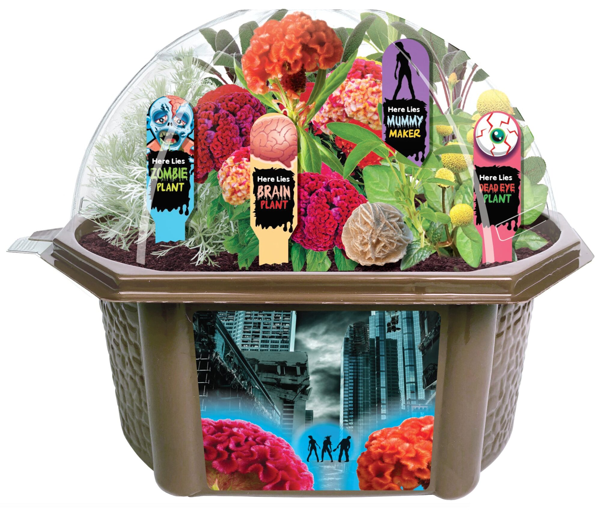 Toys By Nature Zombie Apocalypse Biosphere Terrarium Kit ???? House of Horrors