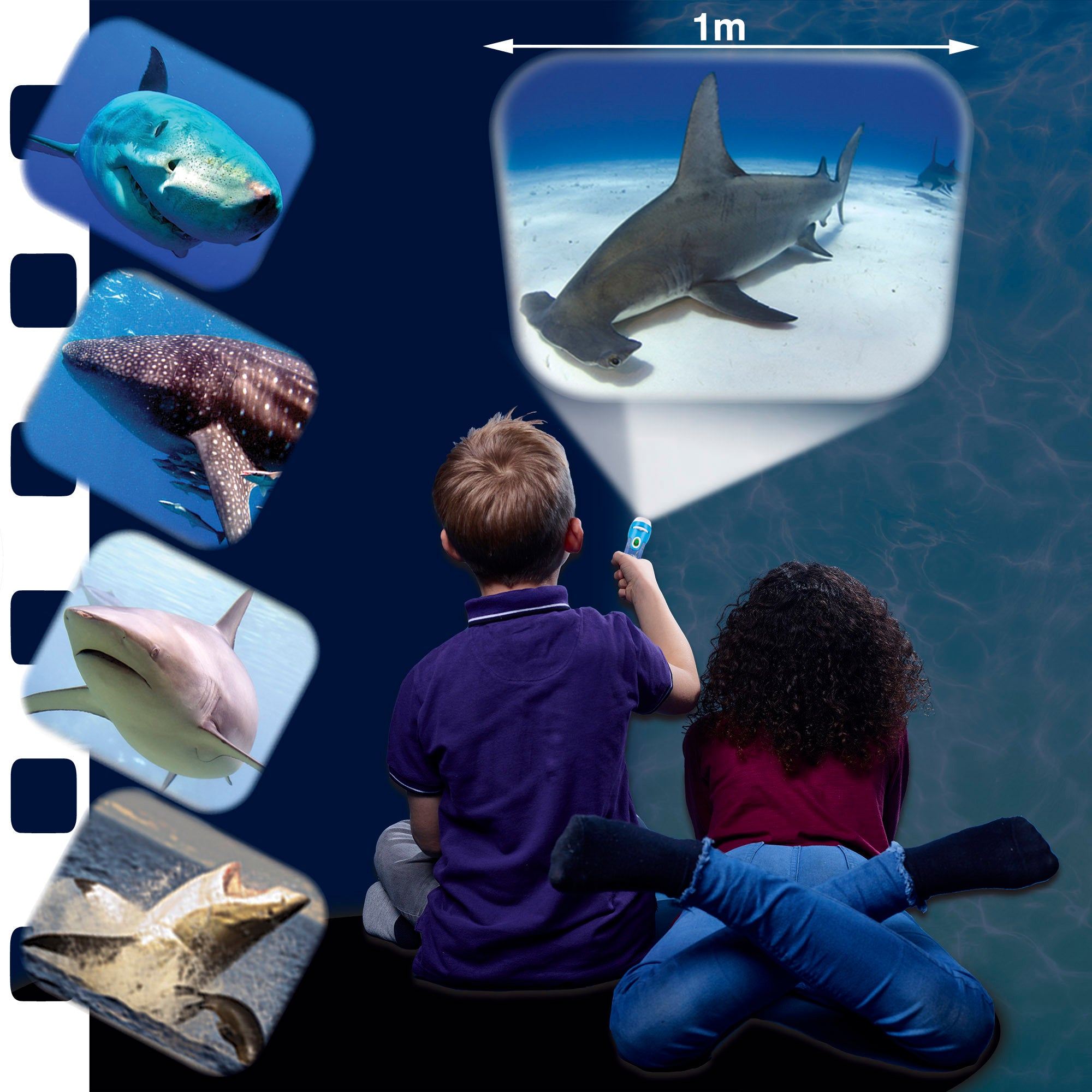 Brainstorm Toys Shark Torch & Projector - Marine Exploration - Ages 3+ - Image 5